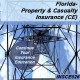 14 hr Property and Casualty Insurance Continuing Education